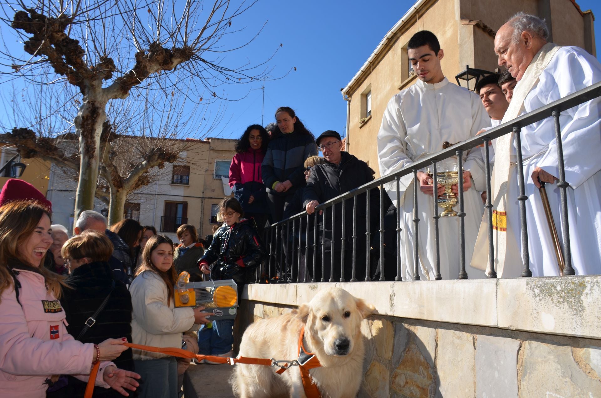 Bendición de San Antón, en Calahorra