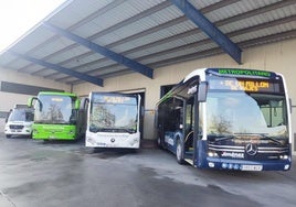 Varios de los autobuses de la flota metropolitana.