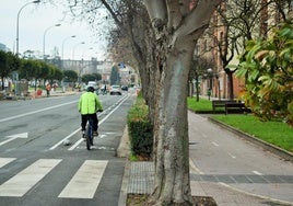 Un ciclista circulando ayer por el nuevo carril bici sobre la calzada de la calle Luis de Ulloa, con el vial sobre la acera en paralelo.