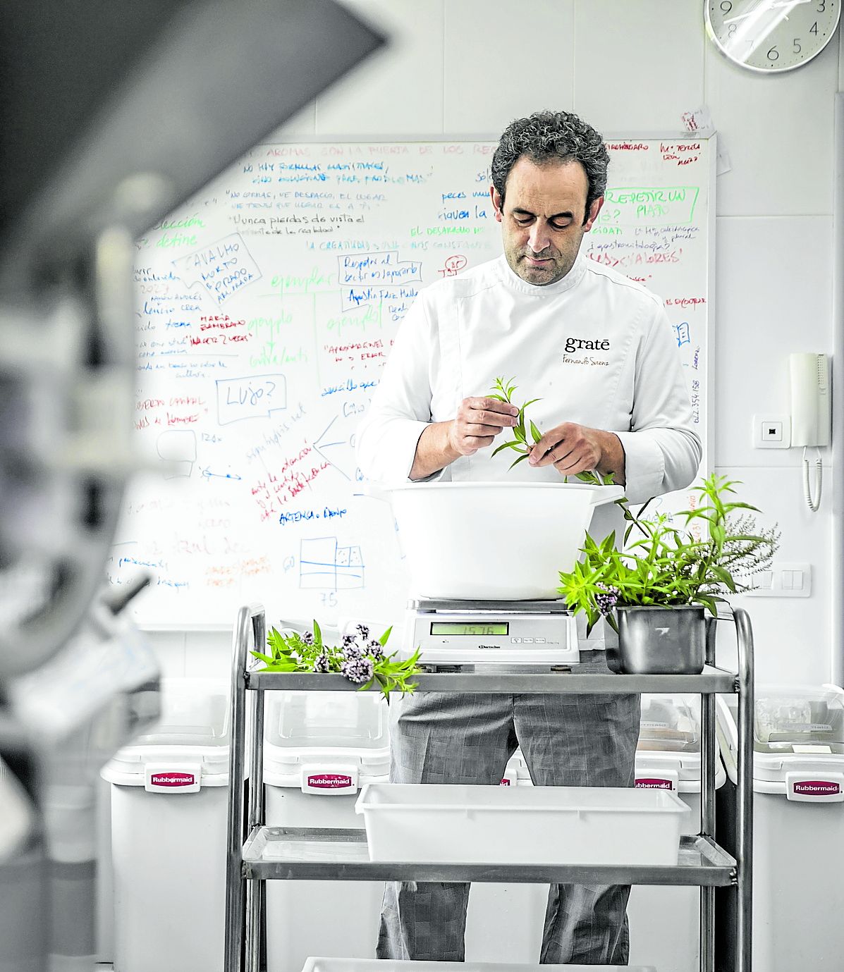 Fernando Sáenz, en su obrador, trabajando con plantas aromáticas.