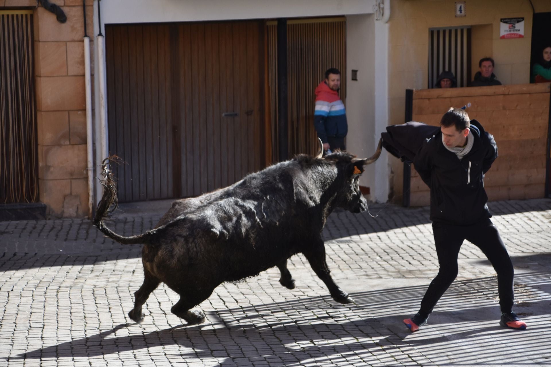 Encierros de reses bravas en las fiestas de San Blas de Autol