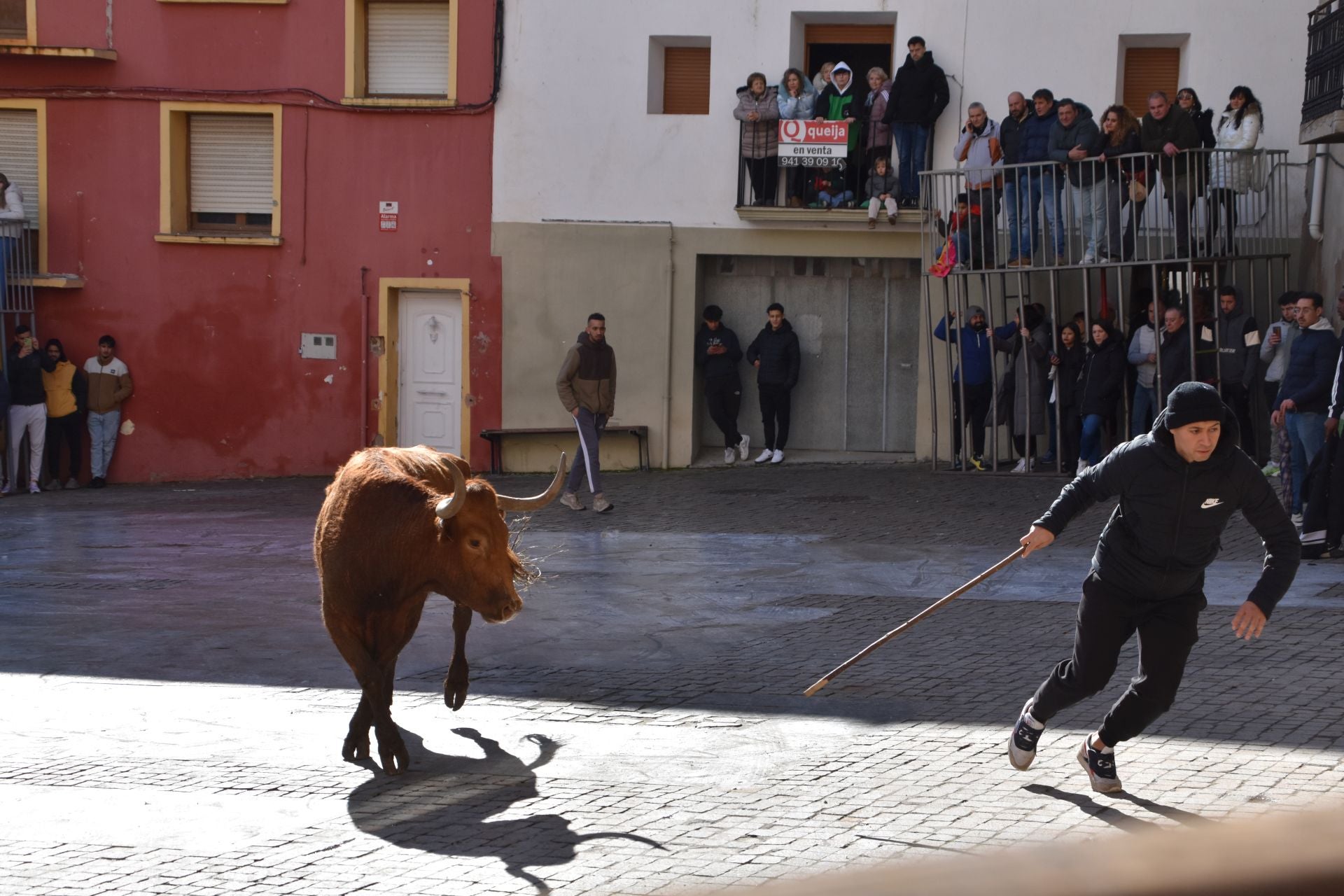 Encierros de reses bravas en las fiestas de San Blas de Autol