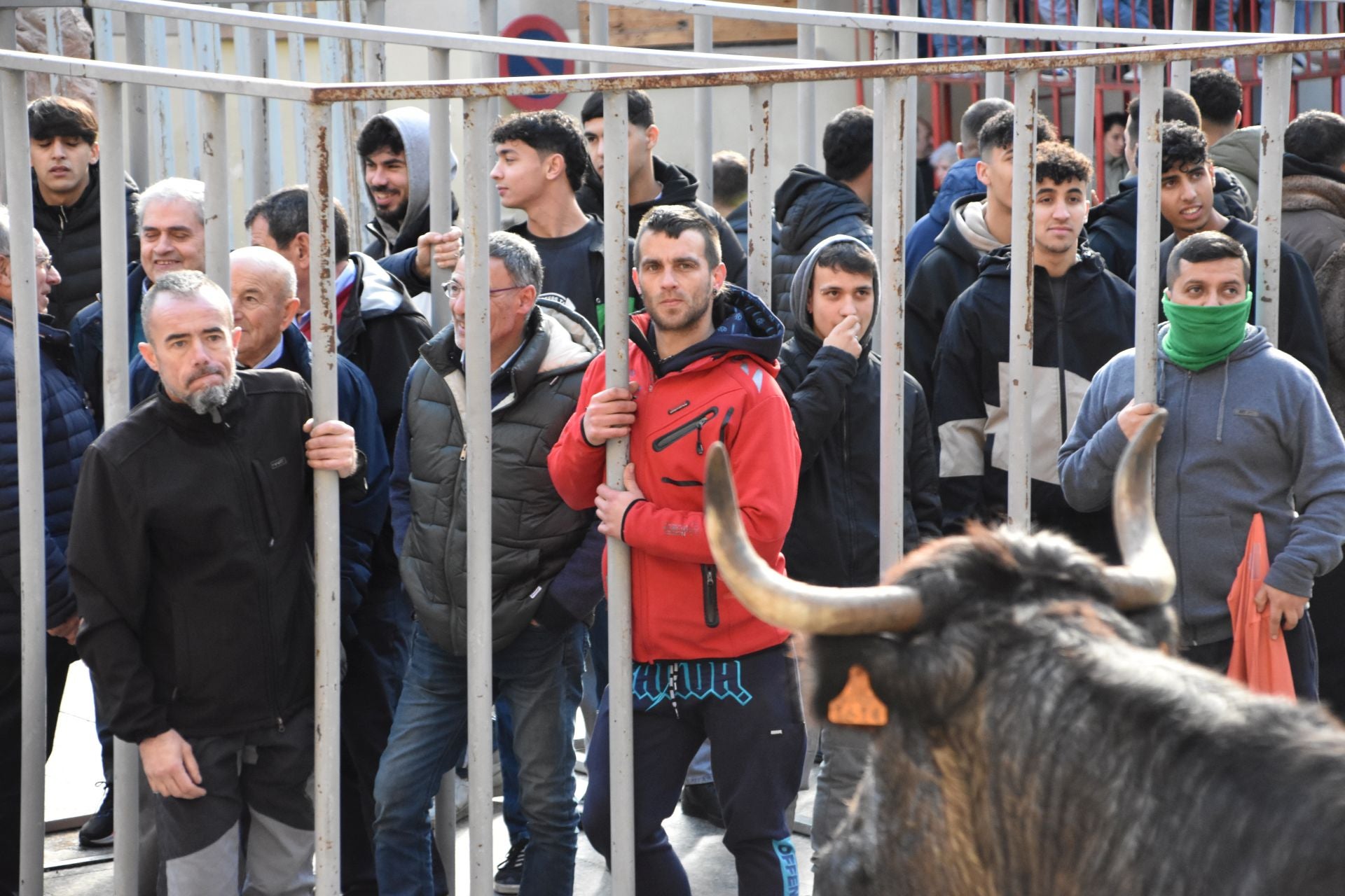 Encierros de reses bravas en las fiestas de San Blas de Autol