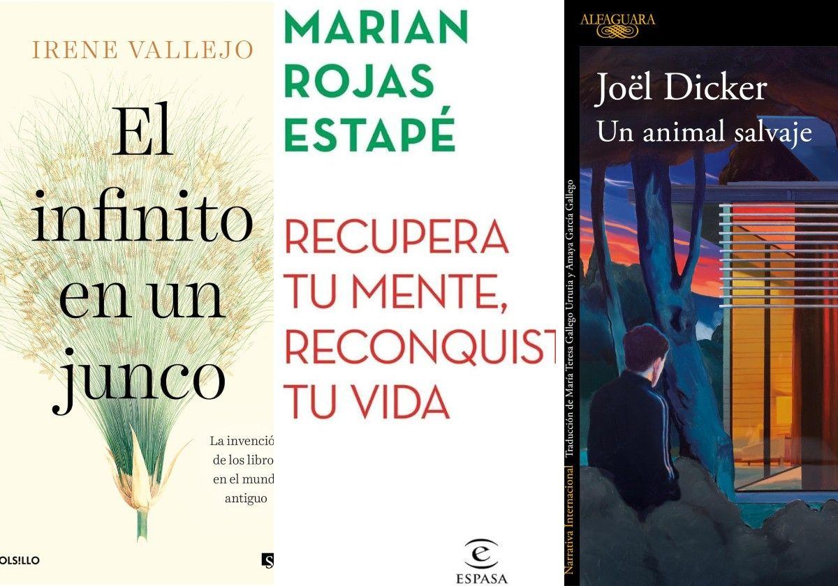 Estos fueron los libros más vendidos el año pasado en La Rioja