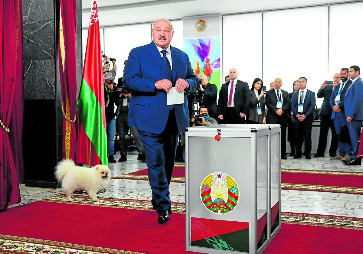 Alexander Lukashenko, reelegido presidente de Bielorrusia, acudió a votar a la Universidad de Minsk en compañía de su perro Umka.