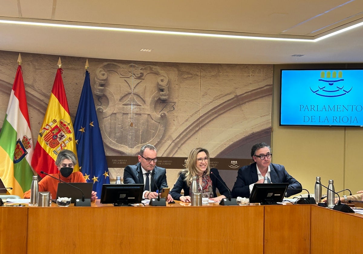 Belinda León, durante la comparecencia de esta mañana en el Parlamento de La Rioja.