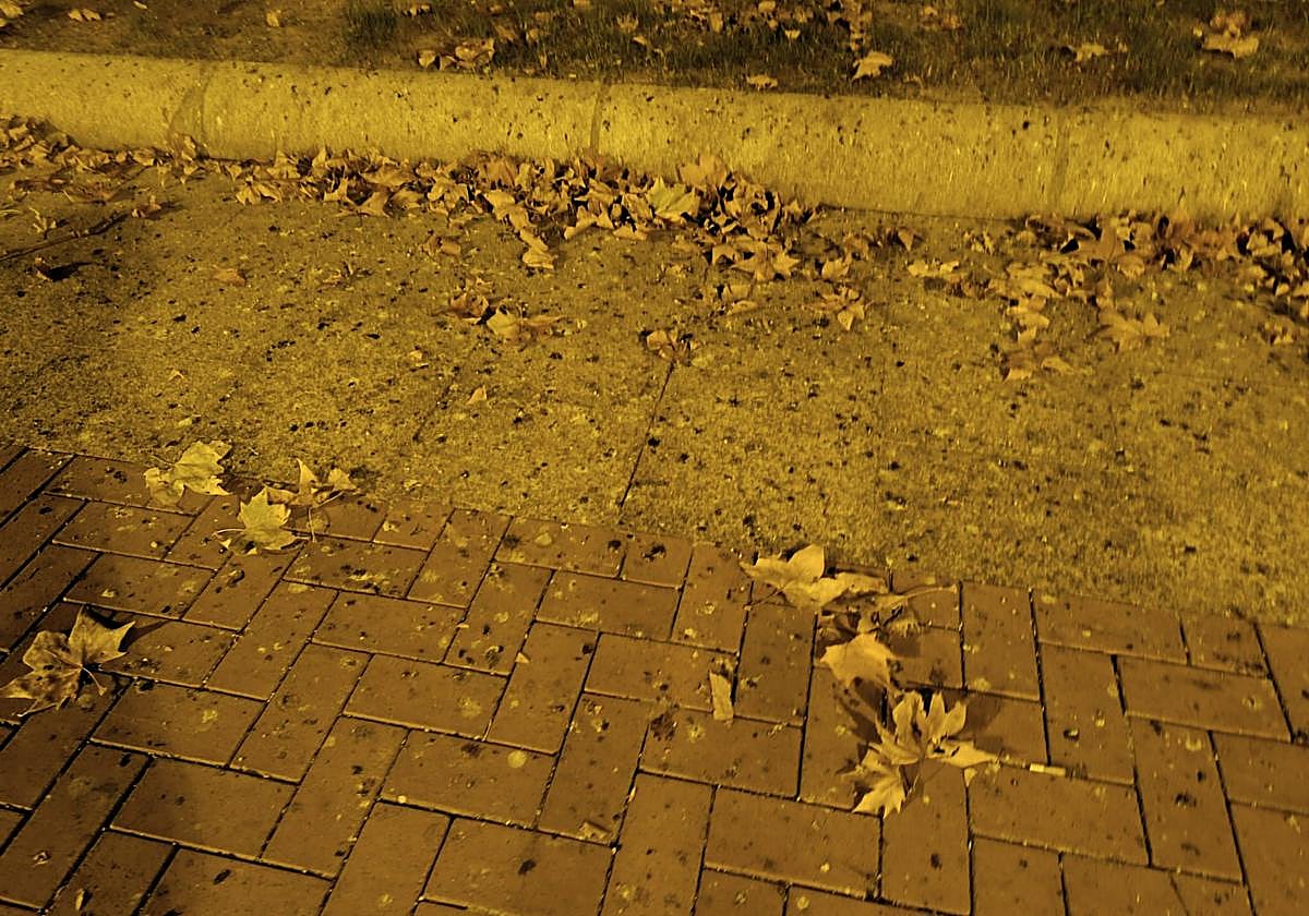 «Imposible» conseguir cita en el Seris