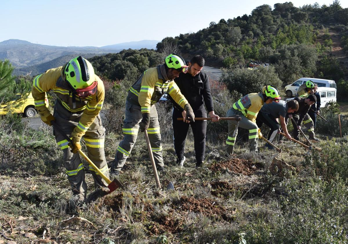 La Rioja destina 770.000 euros para eliminar combustibles leñosos en el monte