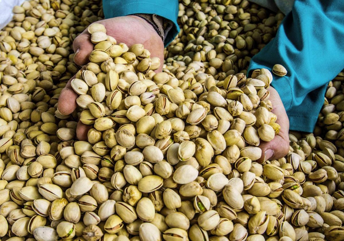 Pistacho, el fruto seco que ahora es tendencia