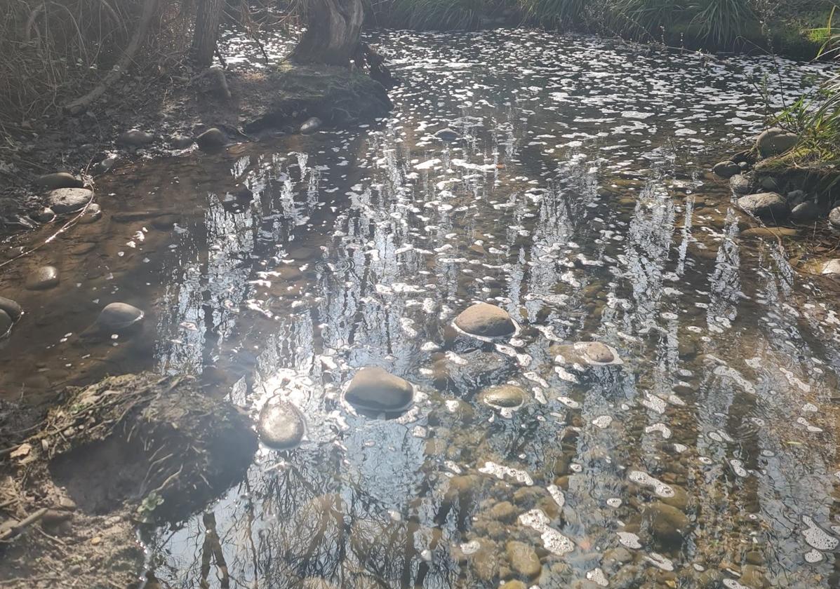 Quejas por la demora en rehabilitación del Carpa