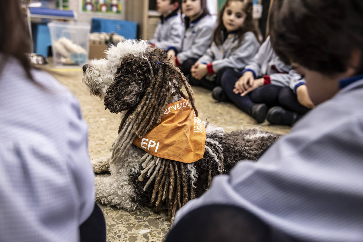 El proyecto de bienestar emocional de Agustinas, en imágenes