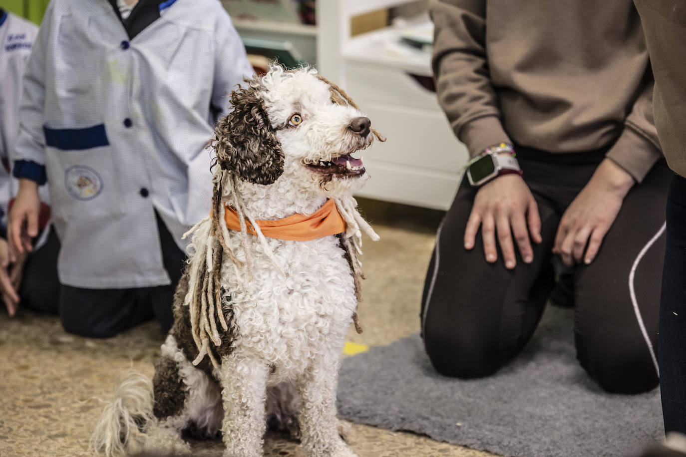 El proyecto de bienestar emocional de Agustinas, en imágenes