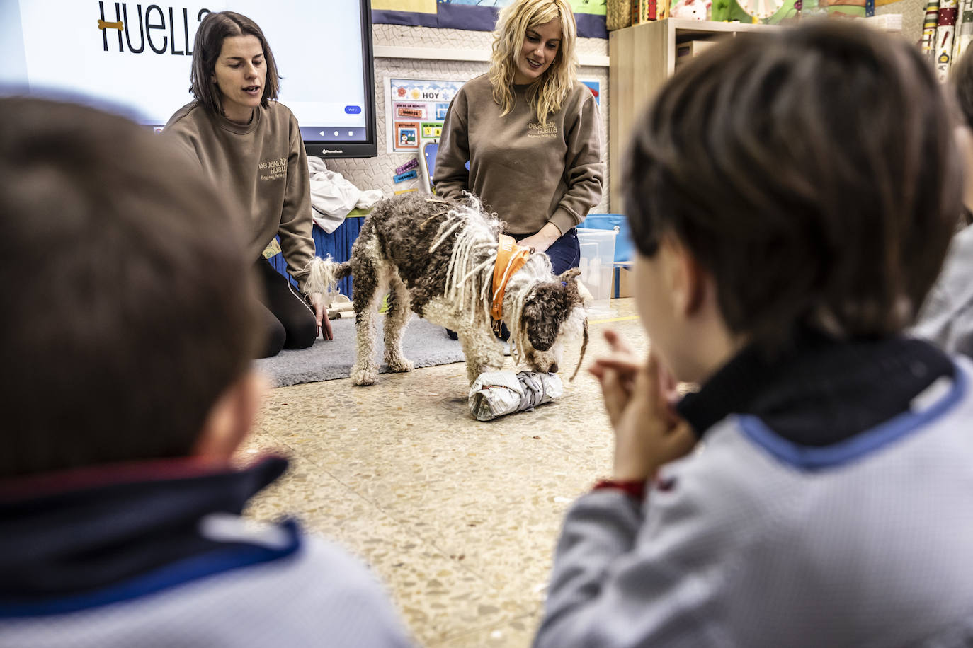 El proyecto de bienestar emocional de Agustinas, en imágenes
