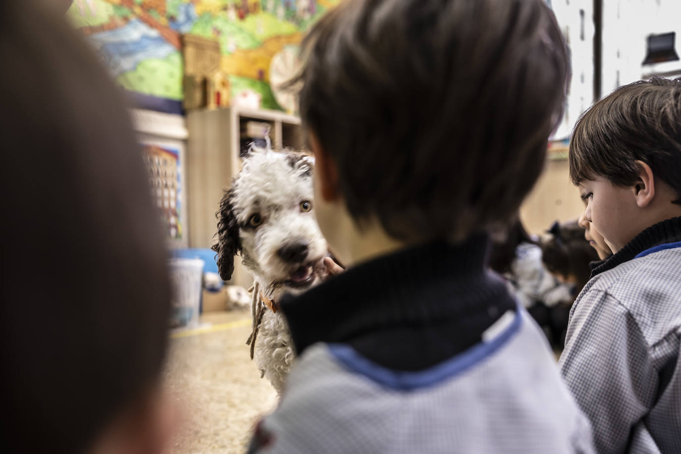 El proyecto de bienestar emocional de Agustinas, en imágenes