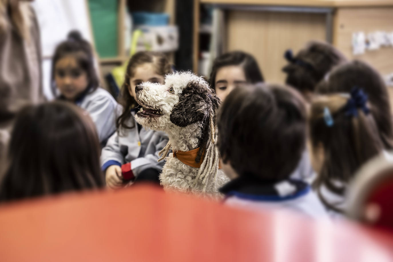 El proyecto de bienestar emocional de Agustinas, en imágenes