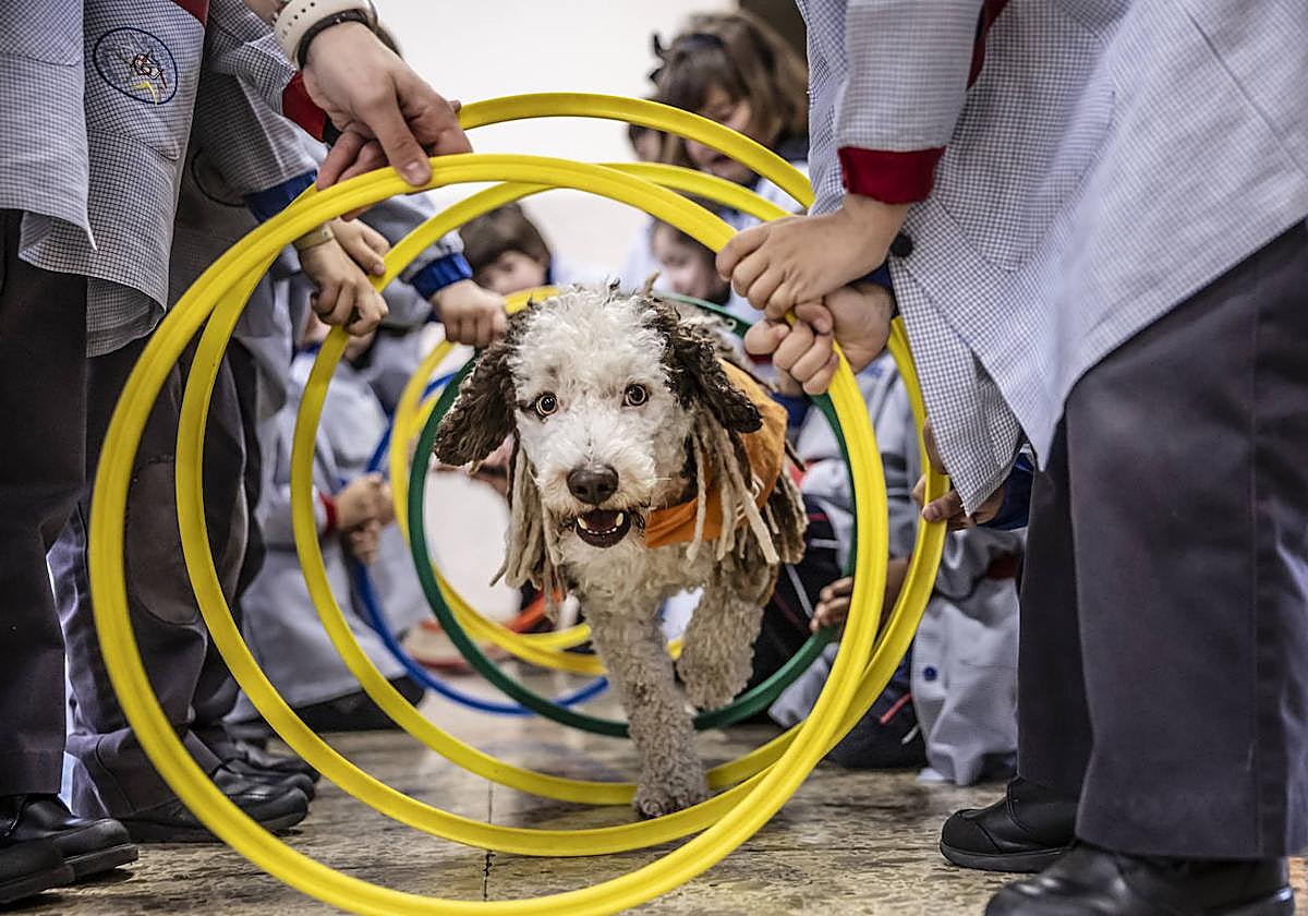 El proyecto de bienestar emocional de Agustinas, en imágenes