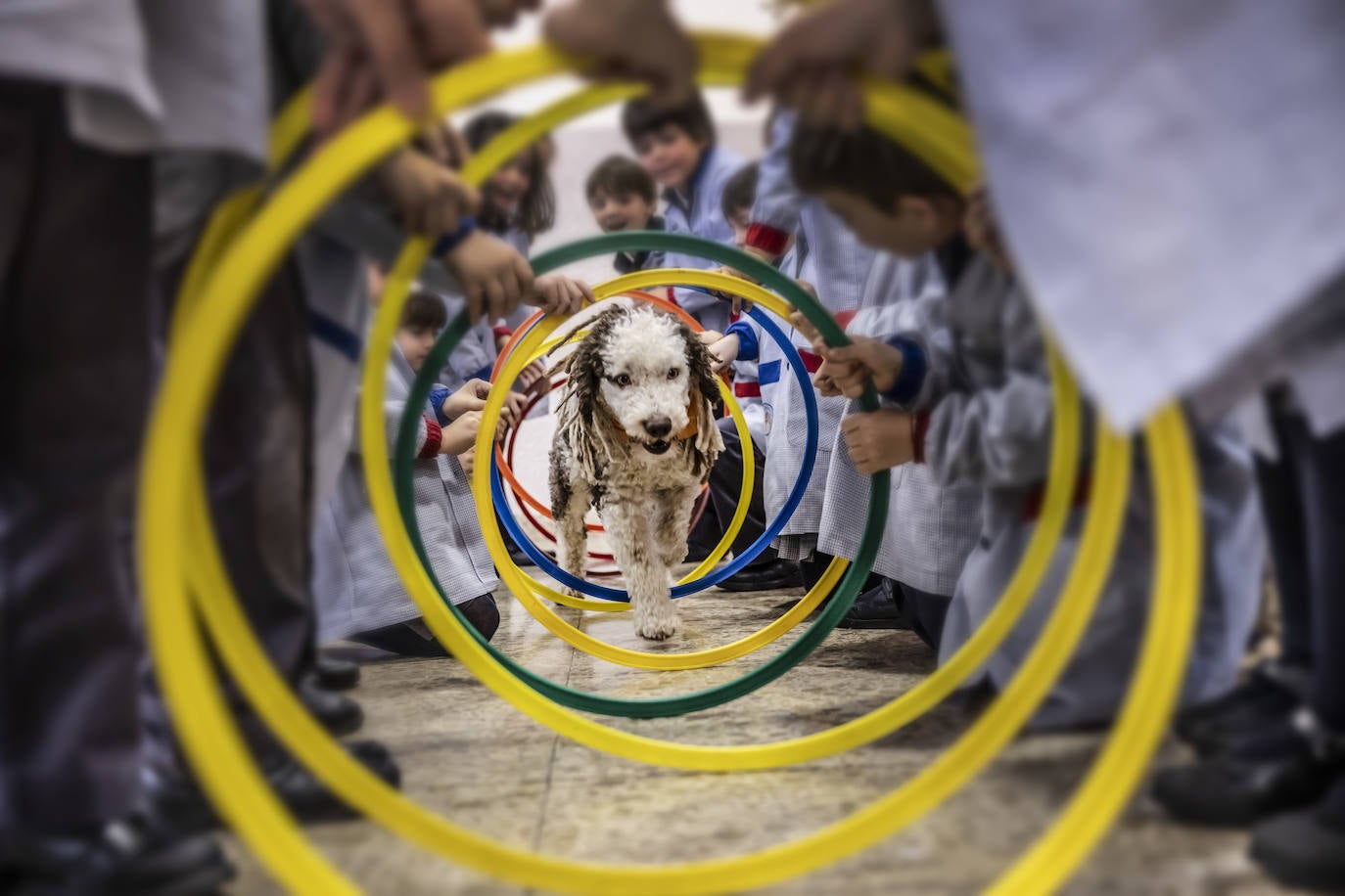 El proyecto de bienestar emocional de Agustinas, en imágenes