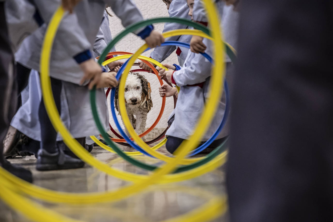 El proyecto de bienestar emocional de Agustinas, en imágenes