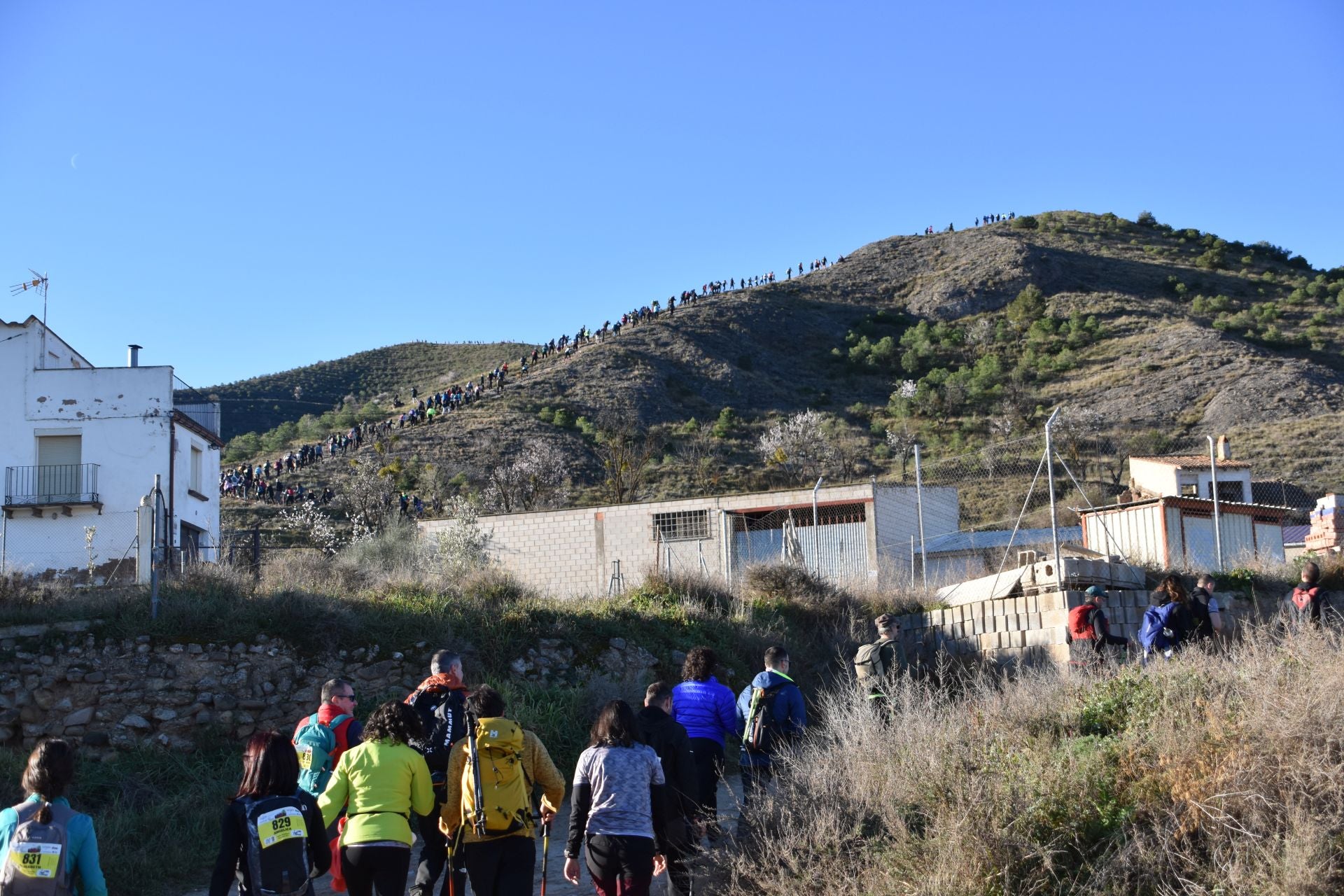 Las imágenes de las carreras y la marcha Ogro de Autol