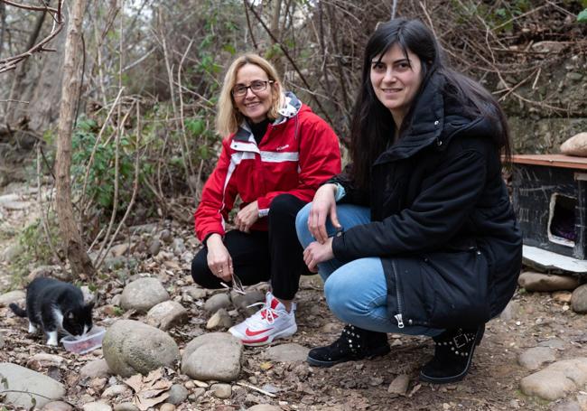 Susana Revilla y Victoria León posan junto a una colonia felina que gestionan en Logroño.