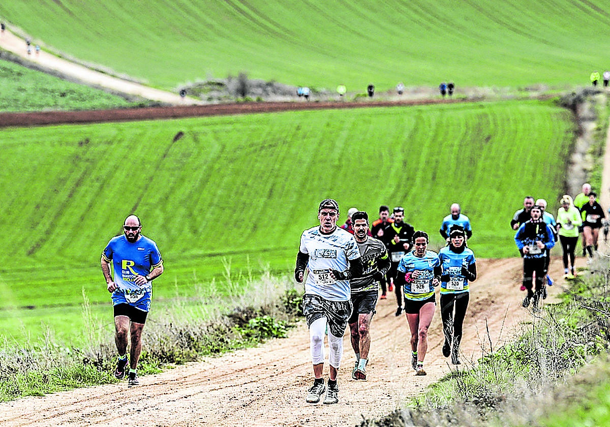 Participantes en la última edición de la Media Maratón del Camino.