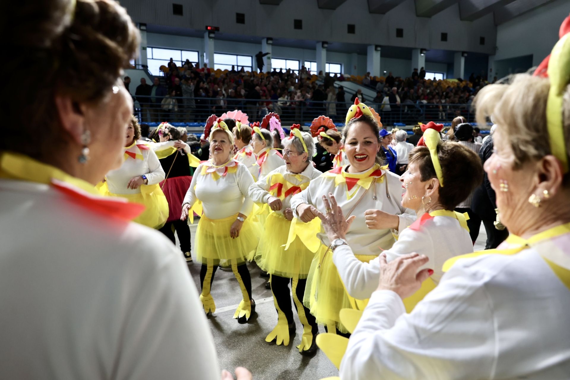 Los mayores celebran el Carnaval con una fiesta de disfraces en el Polideportivo Las Gaunas