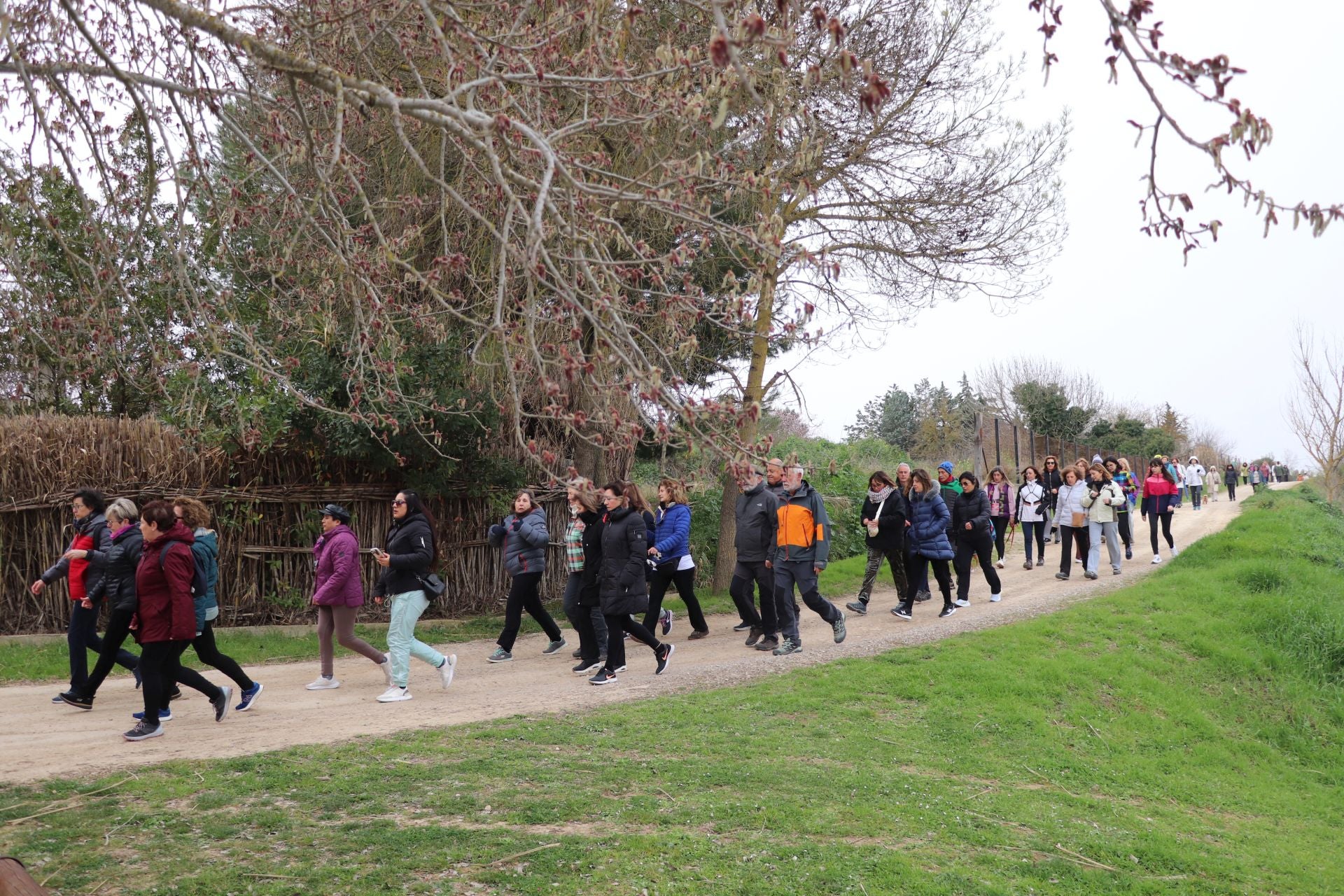Marcha por la semana de la Mujer, en imágenes