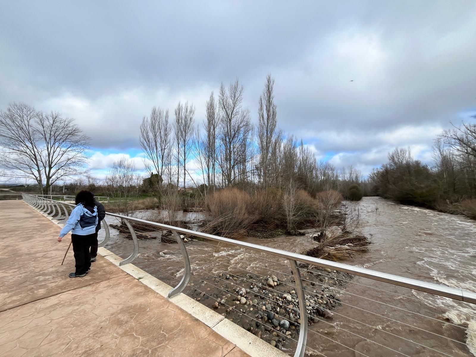El río Iregua, muy crecido en su desembocadura en el Ebro