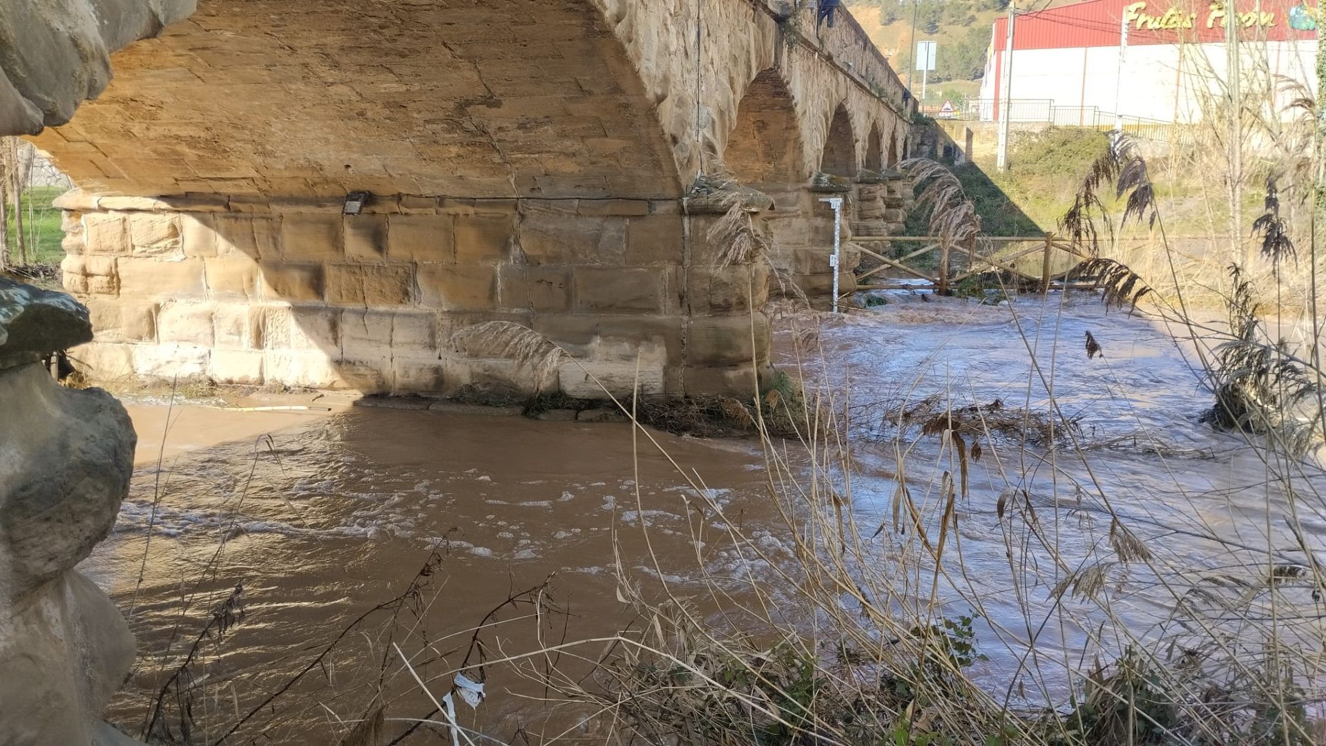 El río Iregua, muy crecido en su desembocadura en el Ebro