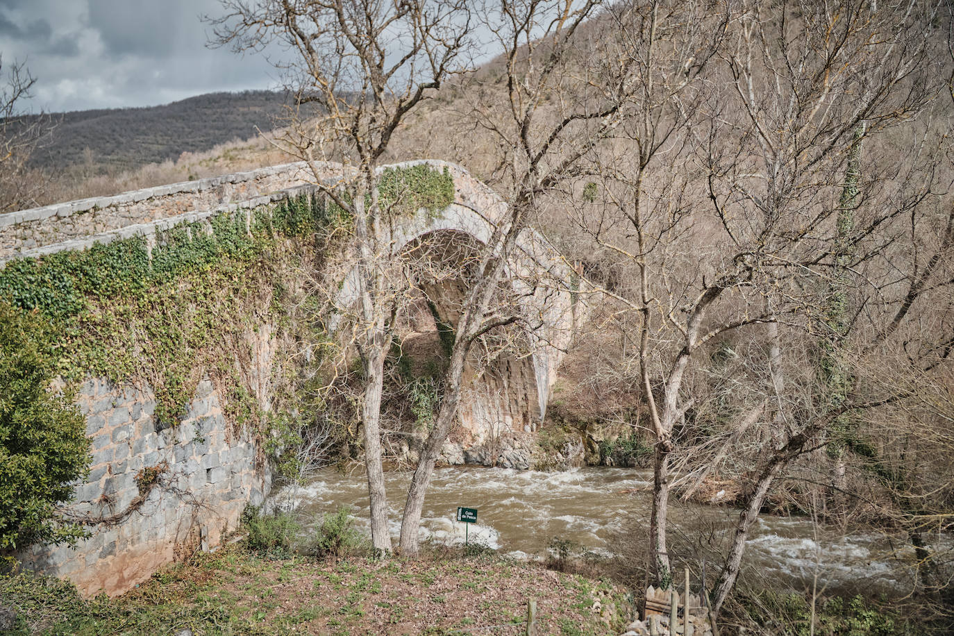 El caudal del Iregua, en máximos