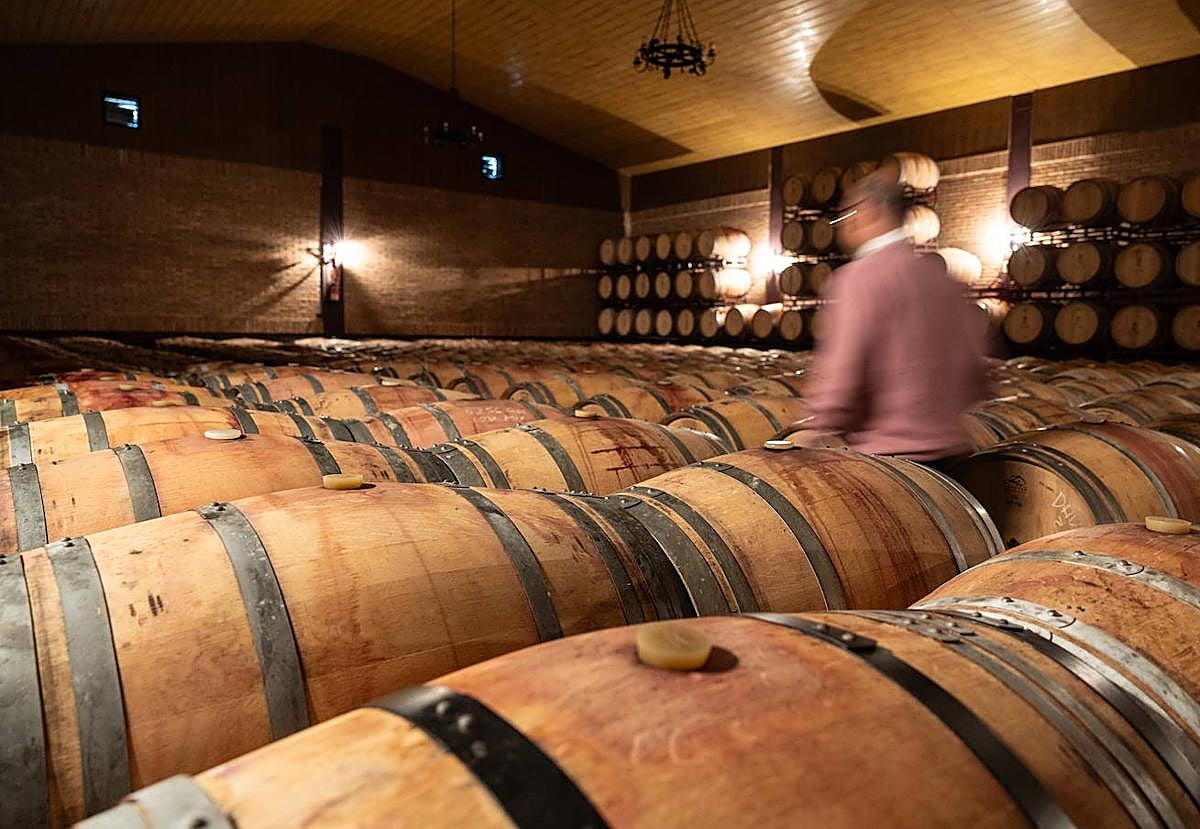 El Gobierno riojano pide prudencia y brinda su apoyo a la industria vinícola