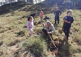 Más de 180 árboles plantados este fin de semana en Nájera