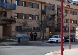 Bomberos y Policía Local intervienen para retirar las ramas de un árbol en Haro.