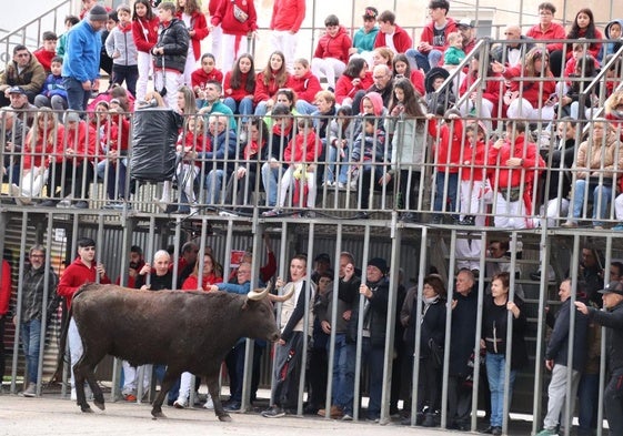 Arnedo celebra su segundo día de fiestas