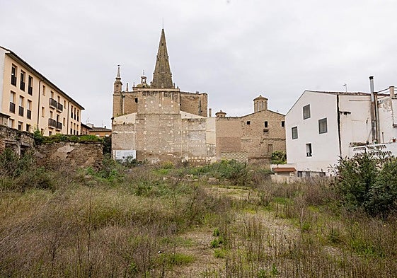 Antoñanazas habla de sancionar a Bosonit con «al menos» el 25% de lo que pagó