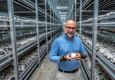 «Eso que se oye de que cuando una puerta se cierra otra se abre no es tan sencillo»