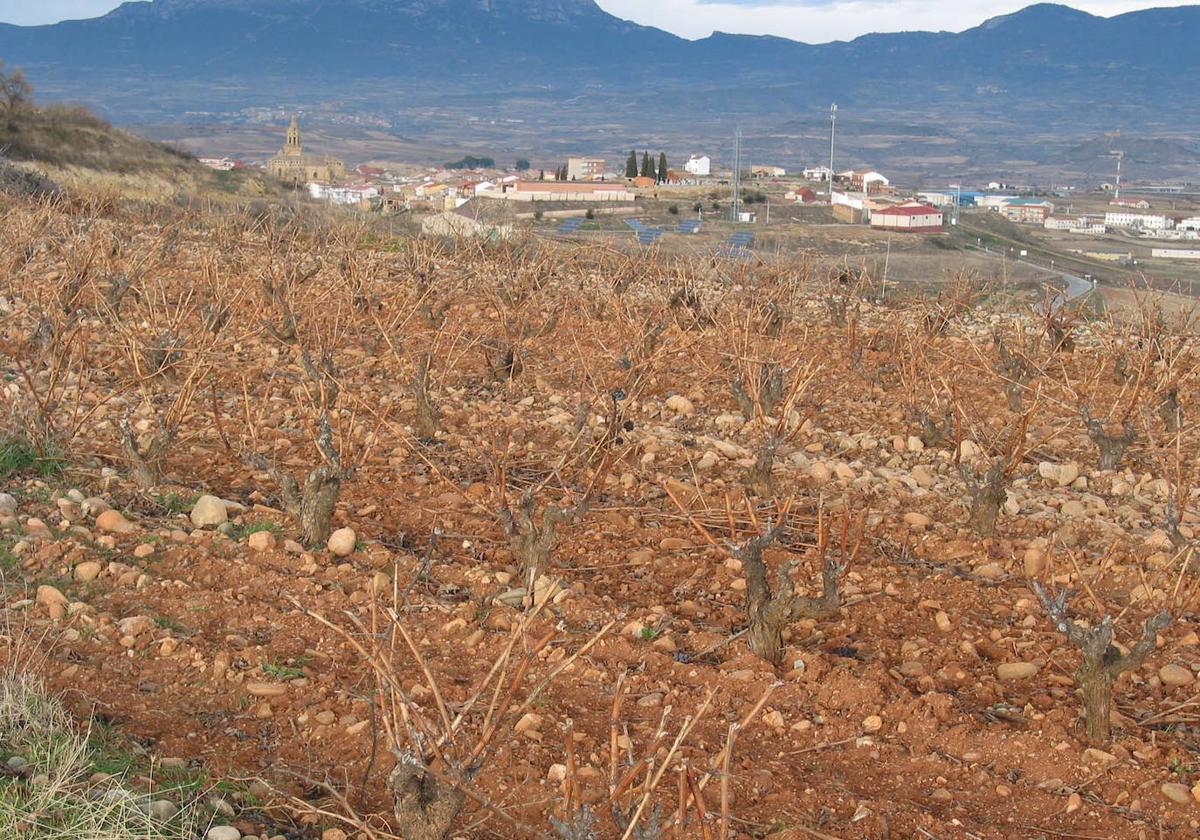 Rescatadas dos mujeres tras desorientarse en la Sierra de Toloño