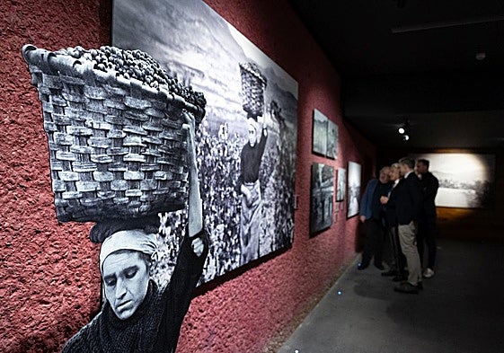 Imagen que puede verse en la muestra del CCR.