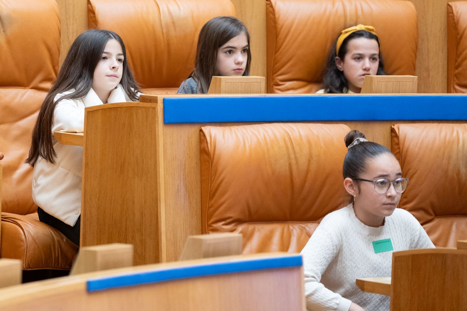 Alumnos riojanos se convierten en diputados por un día
