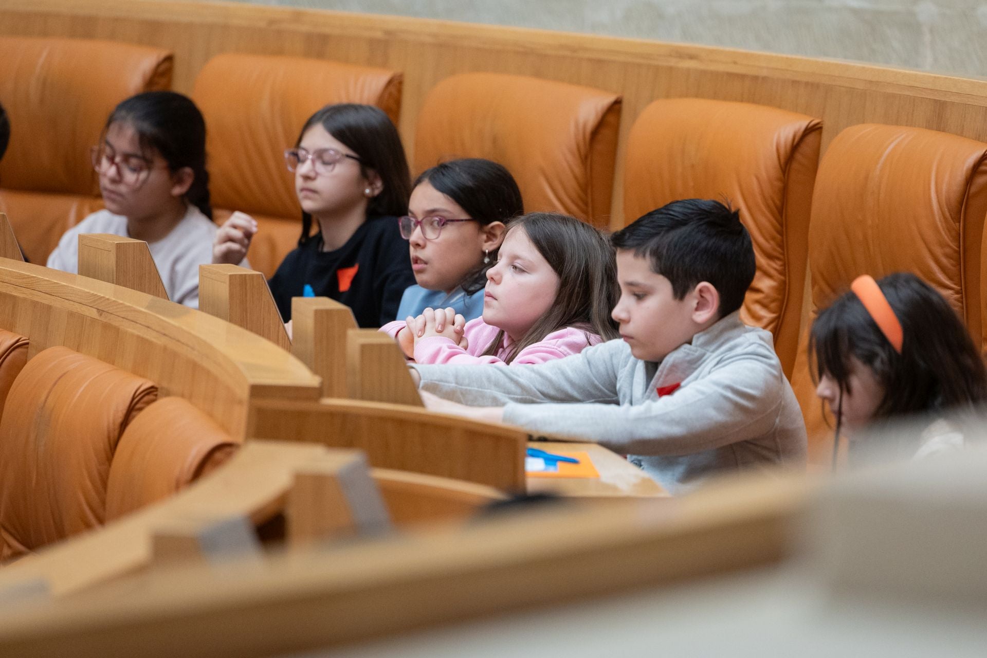 Alumnos riojanos se convierten en diputados por un día
