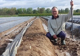 Miguel Ezquerro Malo en una de sus fincas de cultivo de espárrago en Rincón de Soto.