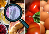 Las patologías de transmisión alimentaria casi se triplican en el primer trimestre en La Rioja