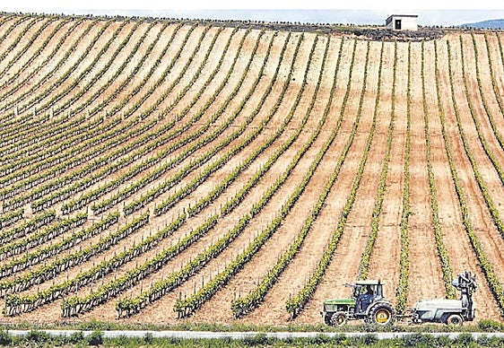 Sulfatadora en La Rioja Alta.