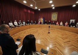 Minuto de silencio guardado en el pleno extraordinario de Logroño de este jueves por la muerte del Papa.