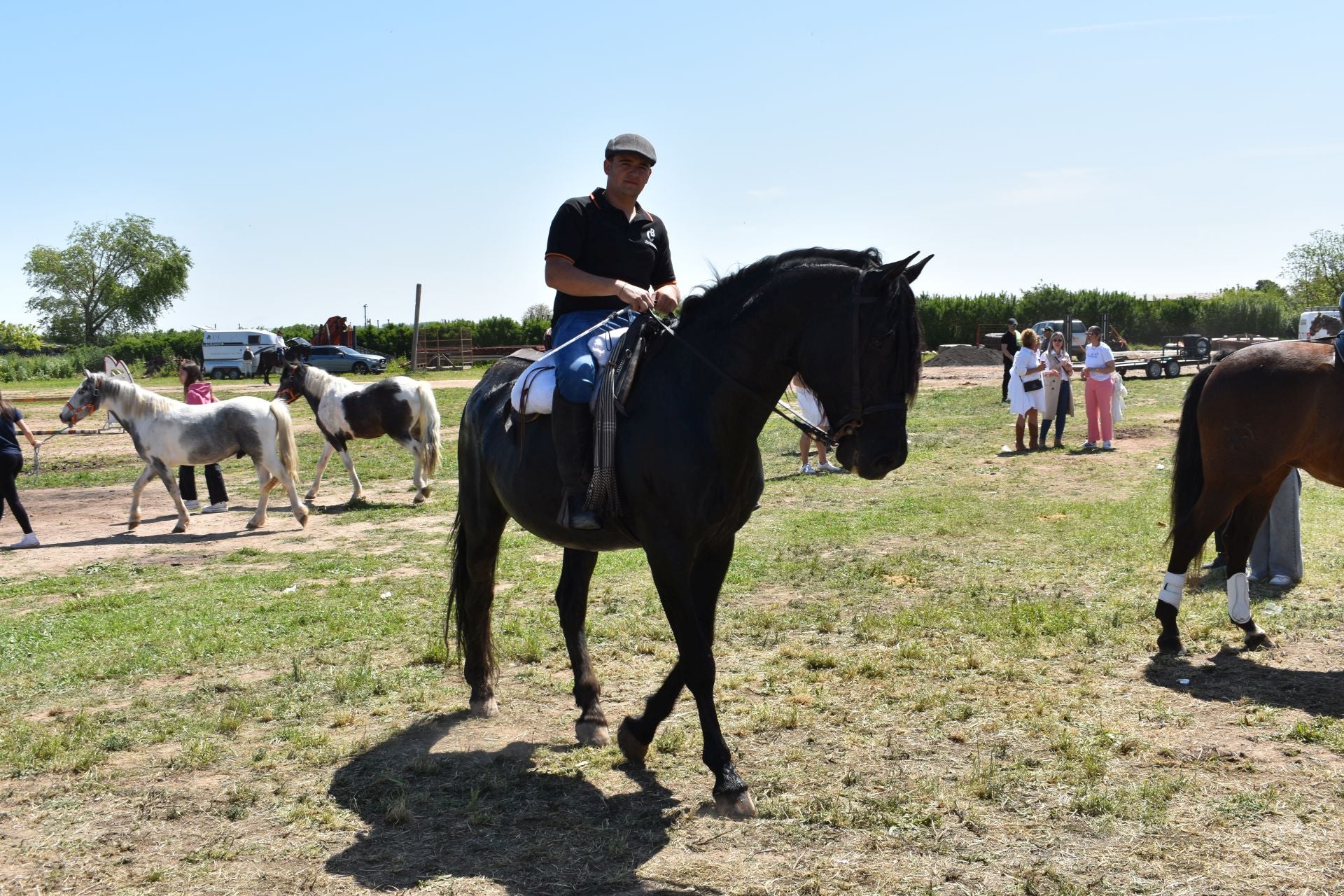 Los caballos protagonizan una mañana de ferias en Rincón de Soto