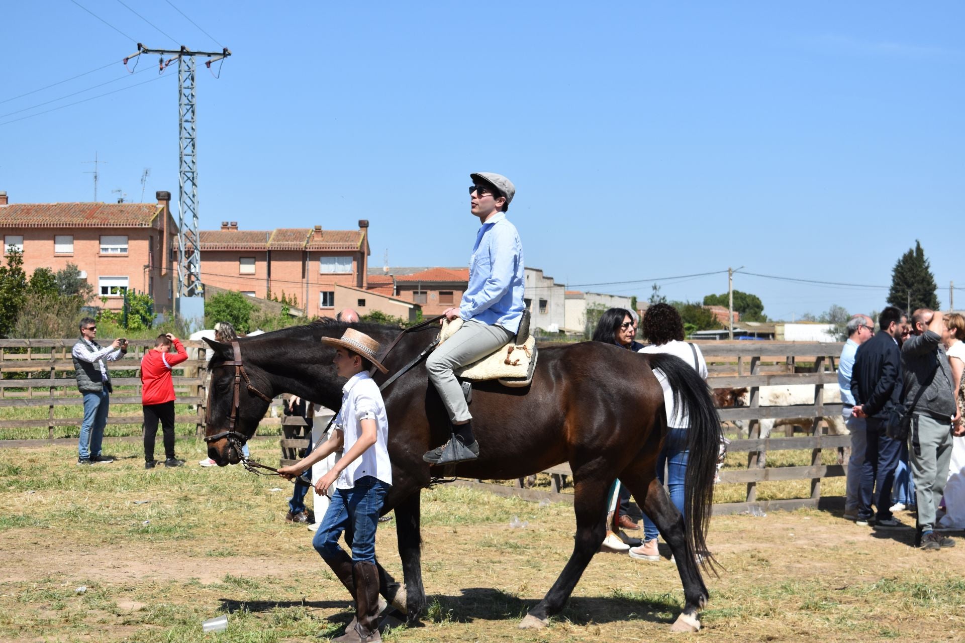 Los caballos protagonizan una mañana de ferias en Rincón de Soto