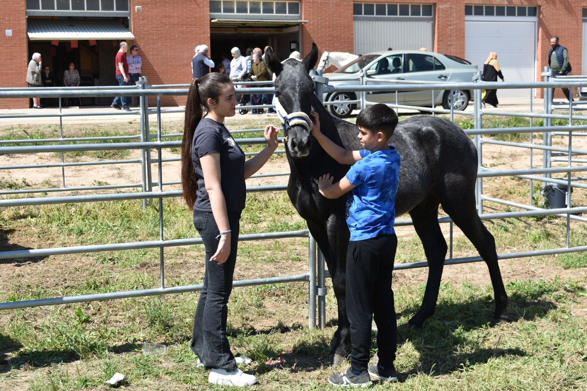 Los caballos protagonizan una mañana de ferias en Rincón de Soto