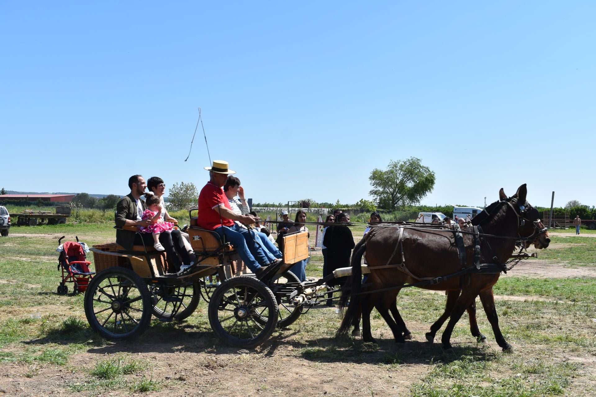 Los caballos protagonizan una mañana de ferias en Rincón de Soto