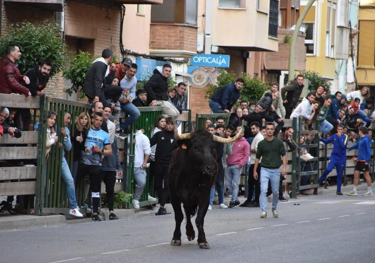 Dos heridos, uno por un varetazo del toro, en Rincón de Soto