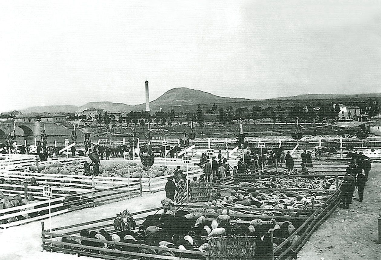 Feria de ganado en las riberas del Ebro en una imagen de 1920 y que posteriormente se estuvo repitiendo en el Pozo Cubillas.